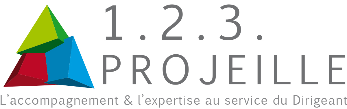 1.2.3. Projeille
